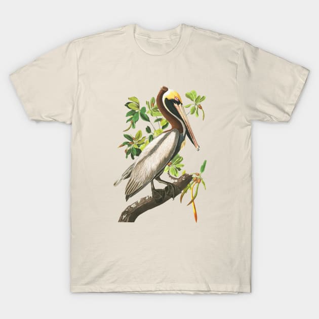 John James Audubons Brown Pelican T-Shirt by Dystopianpalace